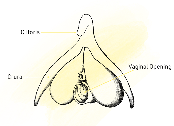 Measure Pussy Depth